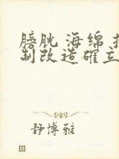 膀胱 海绵 控制改造确立m