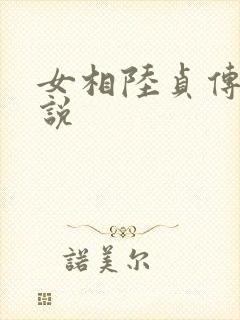 女相陆贞传奇小说