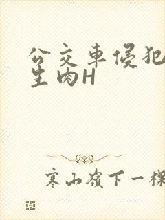 公交车侵犯小男生肉H