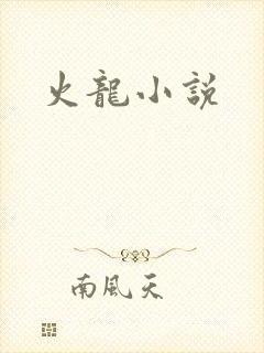 火龙小说