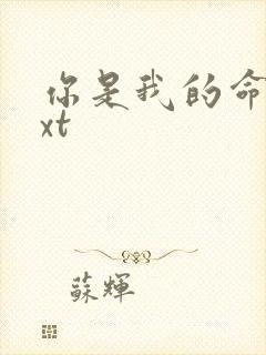 你是我的命运txt