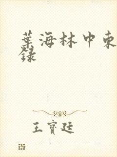 叶海林中东风云录