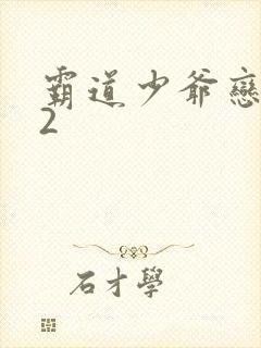 霸道少爷恋上我2