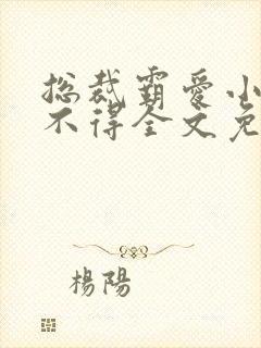 总裁霸爱小妻惹不得全文免费阅读