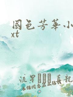 国色芳华小说txt