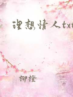 理想情人txt