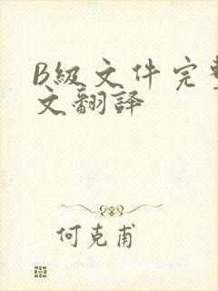 B级文件完整中文翻译