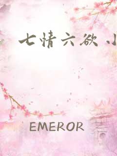 七情六欲 小说
