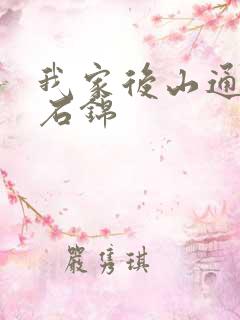 我家后山通仙界石锦