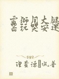 雷狮用大腿支撑器玩哭安迷修