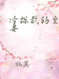冷总裁的皇后暖妻