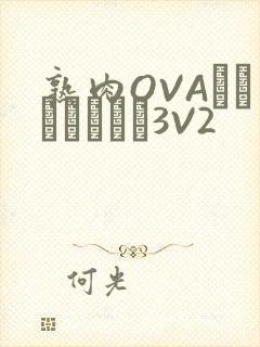 熟肉OVAちゃんはしたい3V2