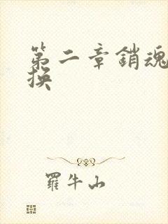 第二章销魂的交换