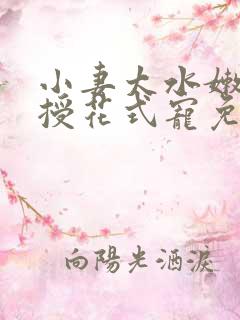 小妻太水嫩陆教授花式宠免费阅读视频