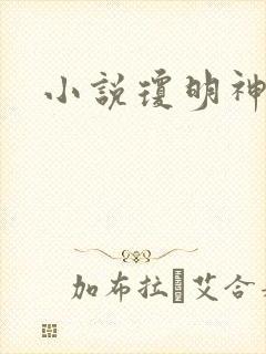 小说琼明神女录