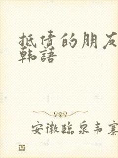 抵债的朋友麦子韩语