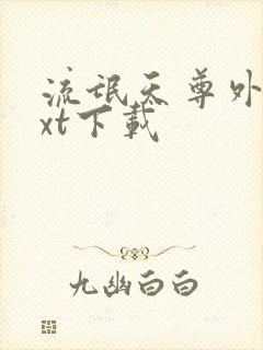 流氓天尊外传txt下载