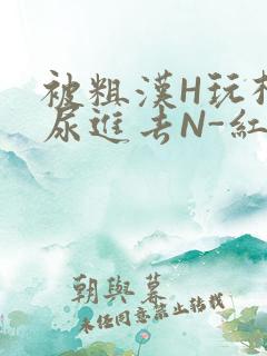 被粗汉H玩松了尿进去N-红-Q