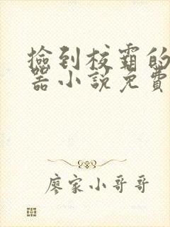 捡到校霸的遥控器小说免费阅读无弹窗