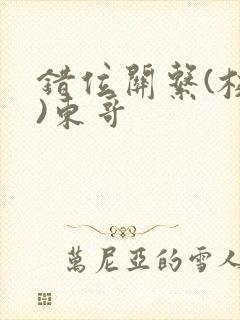 错位关系(校园)东哥