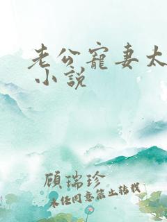 老公宠妻太甜蜜 小说