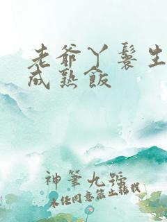 老爷丫鬟生米煮成熟饭