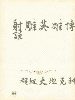 射雕英雄传 小说