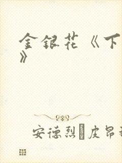 金银花《下厨房》