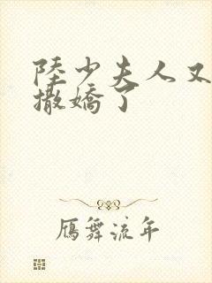 陆少夫人又双叒撒娇了