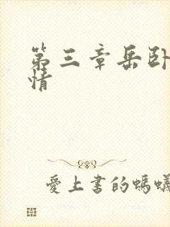 第三章岳卧室激情