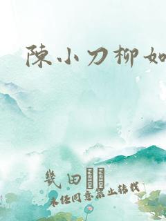 陈小刀柳如意