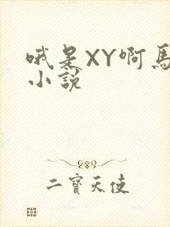 哦是XY啊马仔小说