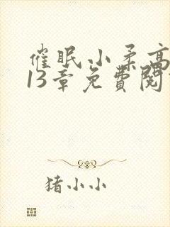 催眠小柔高达第13章免费阅读