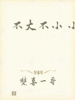 不大不小 小说