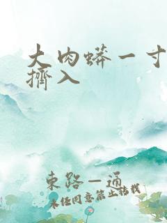 大肉蟒一寸一寸挤入