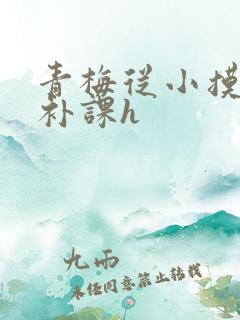 青梅从小摸到大补课h