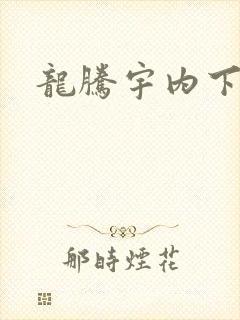 龙腾宇内下载
