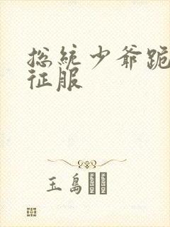 总统少爷跪地唱征服