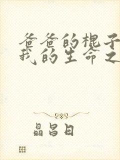 爸爸的棍子顶着我的生命之门