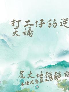 打工仔的逆袭楚天娇