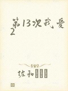 第13次我爱你2
