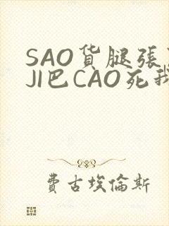SAO货腿张开JI巴CAO死我