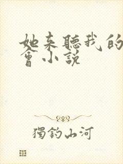 她来听我的演唱会小说