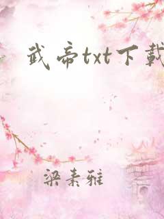 武帝txt下载