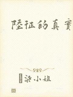 陆征的真实身份