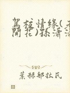 驾校情缘(老树开花)孙潇潇第一次趣笔阁