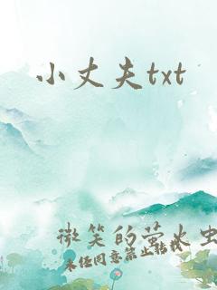 小丈夫txt