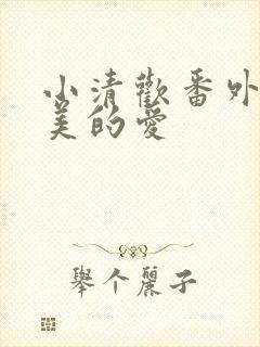 小清欢番外篇完美的爱