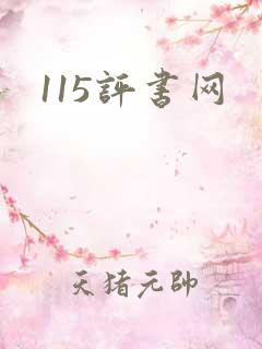 115评书网