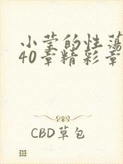 小莹的性荡生活40章精彩章节